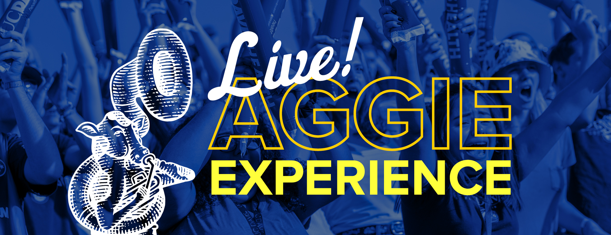 Aggie Experience Live