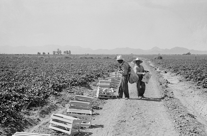 Photo: workers in a field