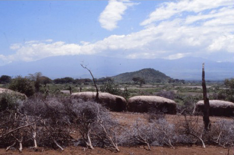 Masaai village in Africa