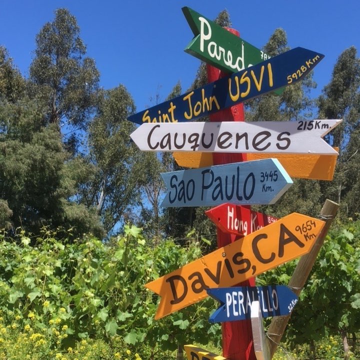 Photo of pole with signs pointing to Davis and other locations 