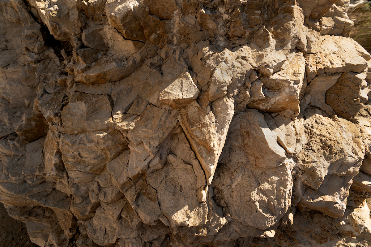 A closeup look at a rock formation 