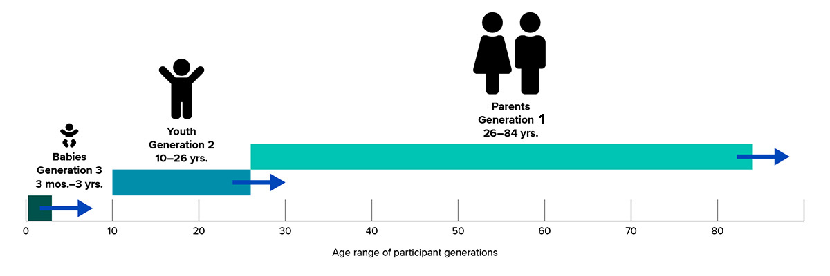Graph showing three generations studied in the California Families Project: babies, ages three months to three years; youths, 10 to 26; and parents, 26 to 84.