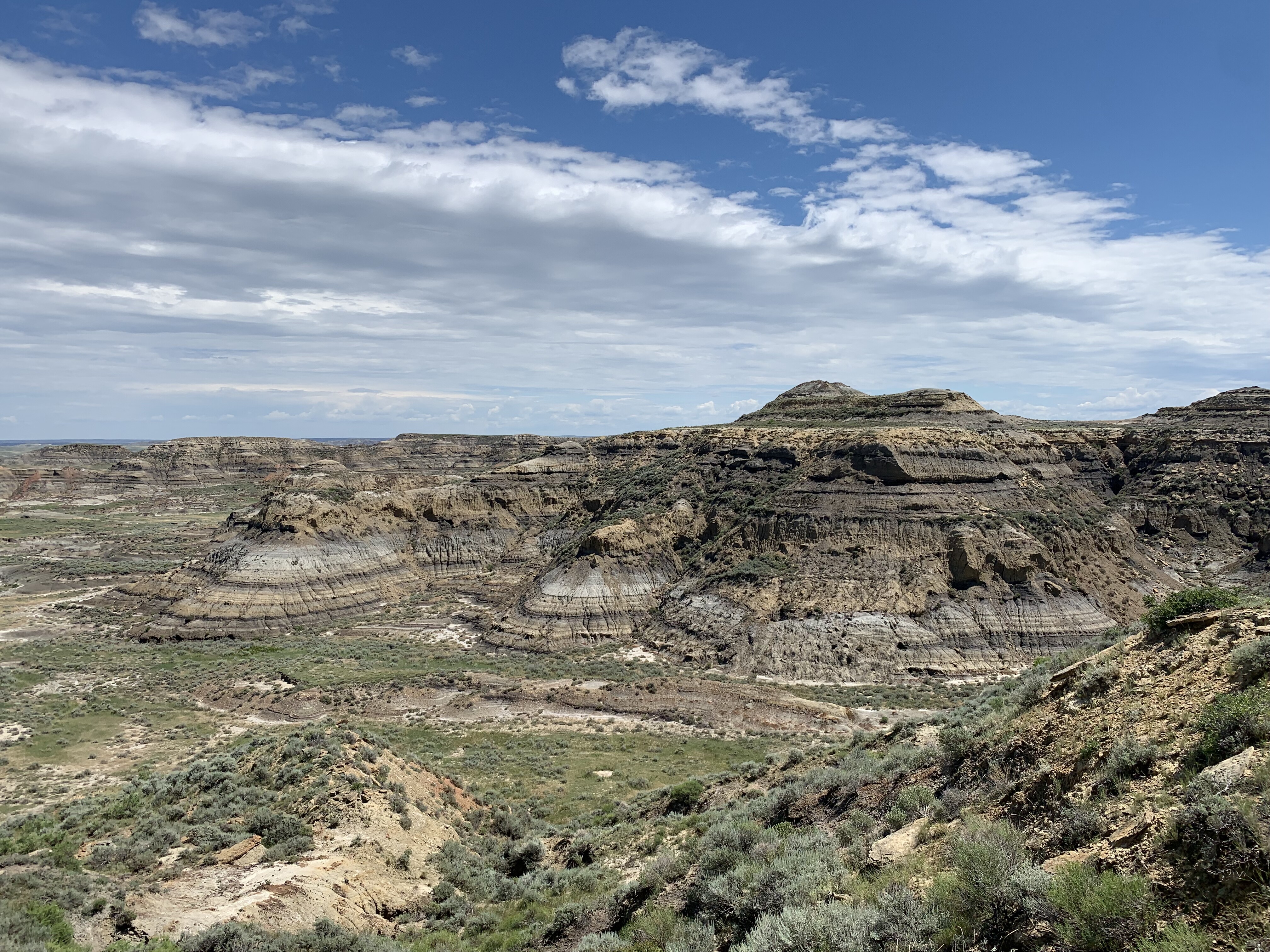 A large sweeping view of the the Hell Creek Formation in Montana