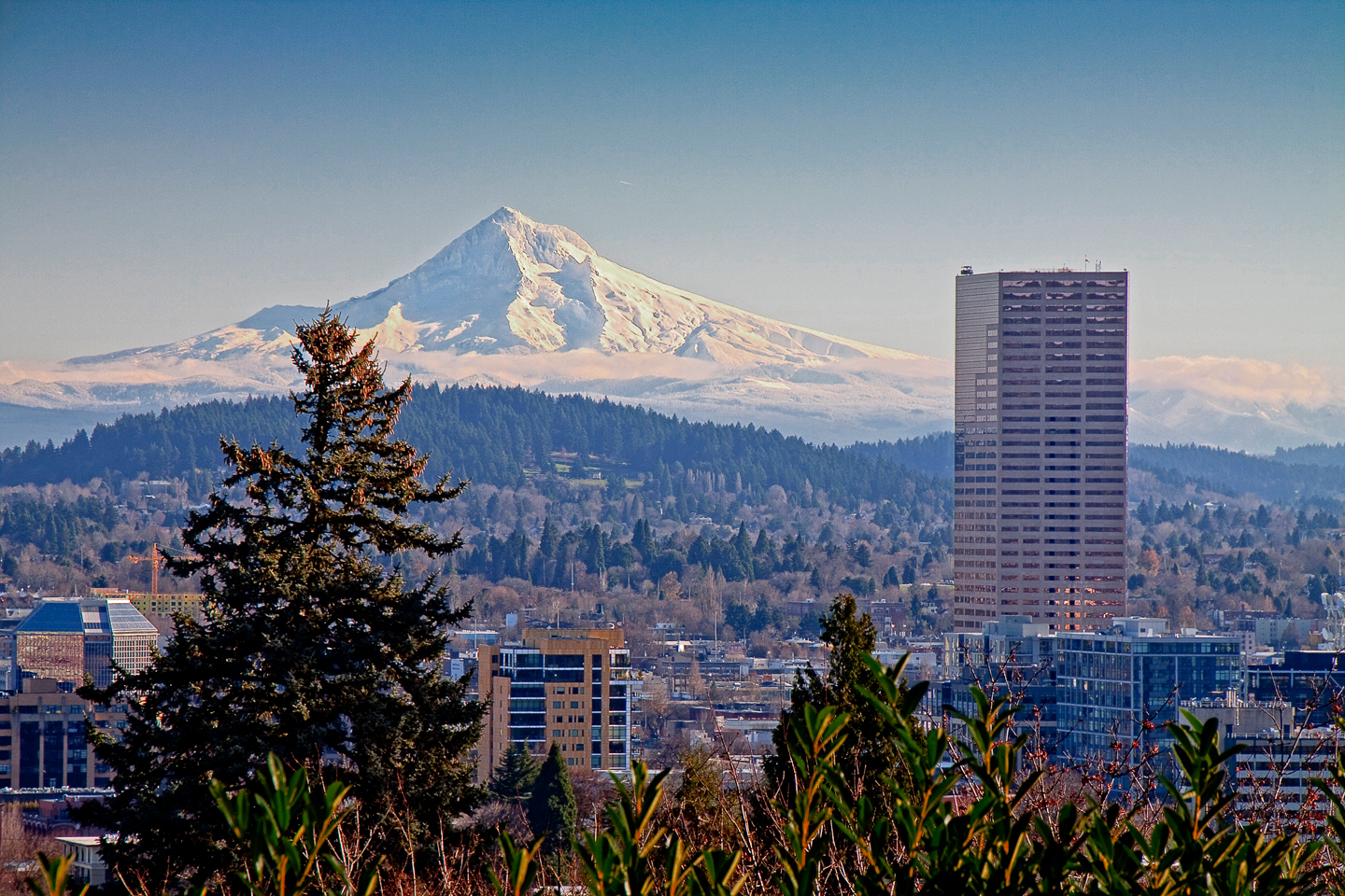 A city view with Mount Hood in the background