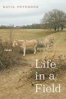 cover of life in a field book with photo of donkeys