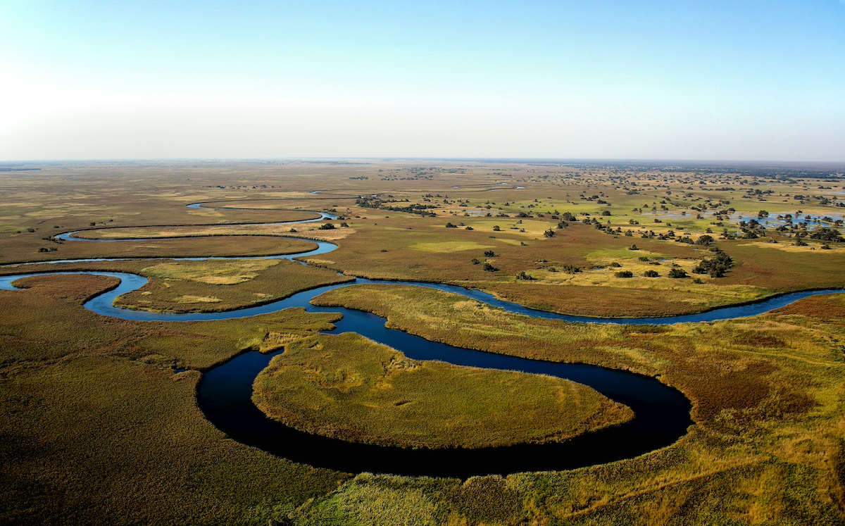An aerial view of the Okavango River