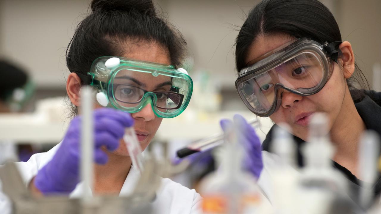 Students conduct research in a lab.
