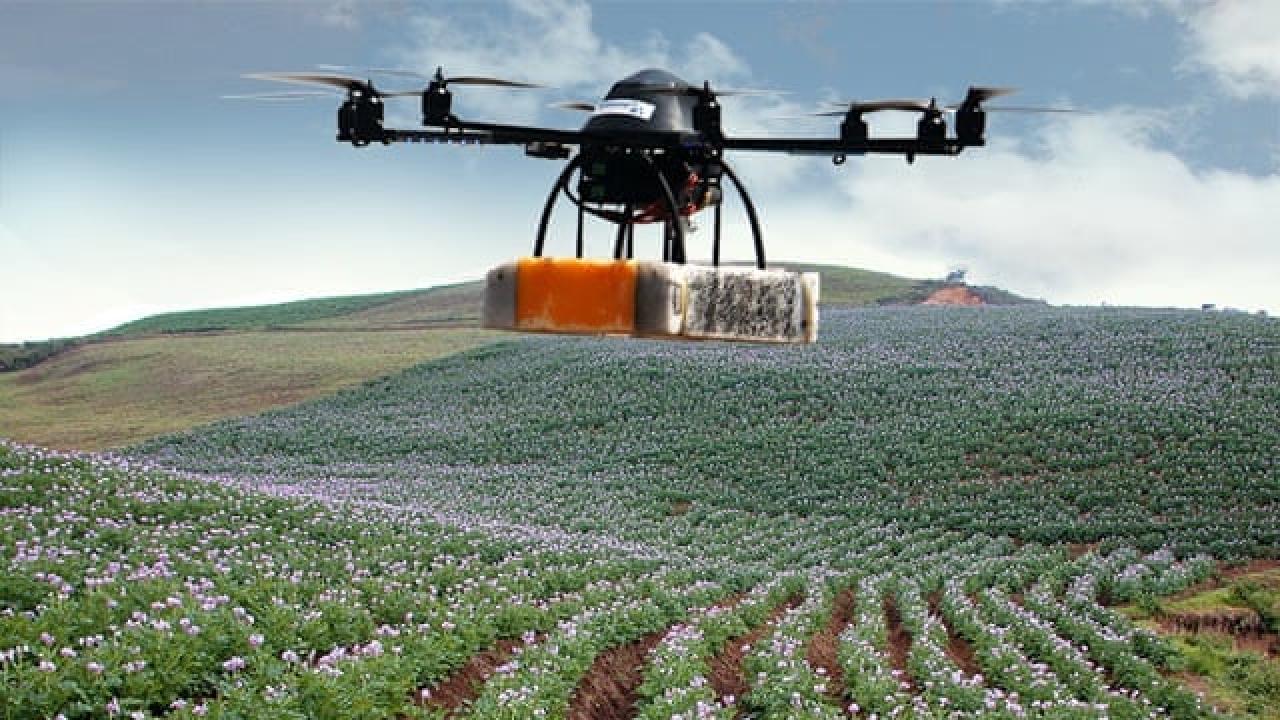 Drones monitoring crops are part of the agro-tech revolution. Drone monitoring field