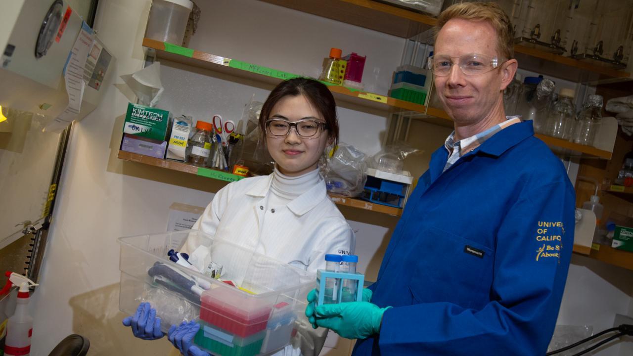 Photo of UC Davis senior Wenzhe Li in lab with biologist Richard McKenney