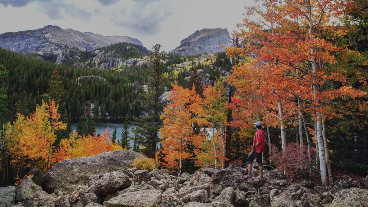 Photo: hiker looking over lake, forests, mountains