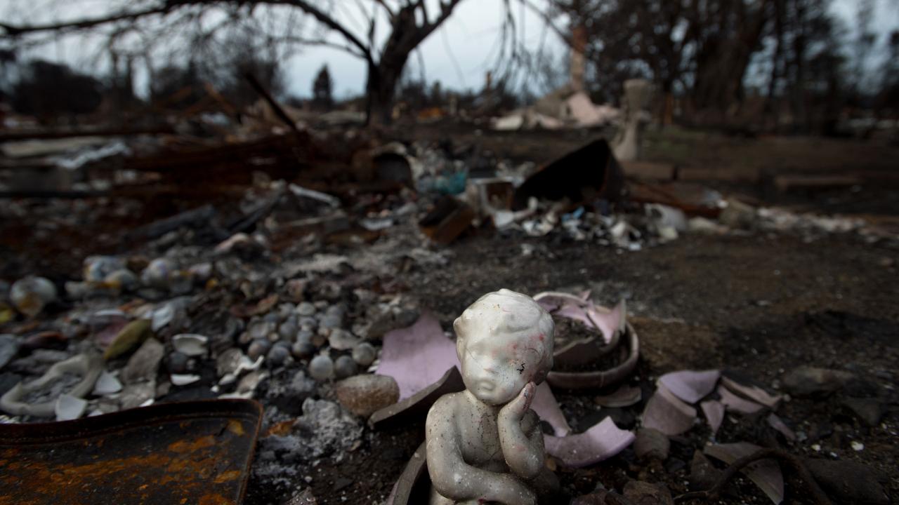 Darcy Padilla's photos of California wildfire devastation part of her photographic story on memory 