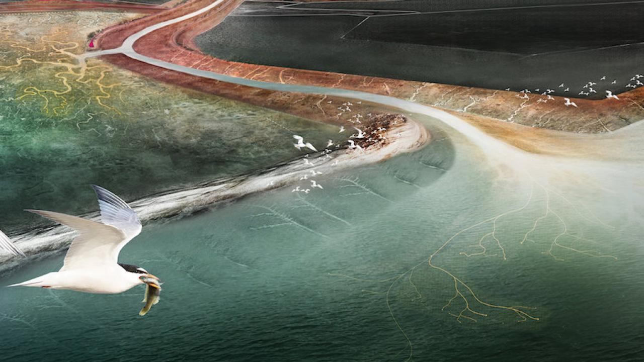Graphic showing flow of Alameda Creek into bay