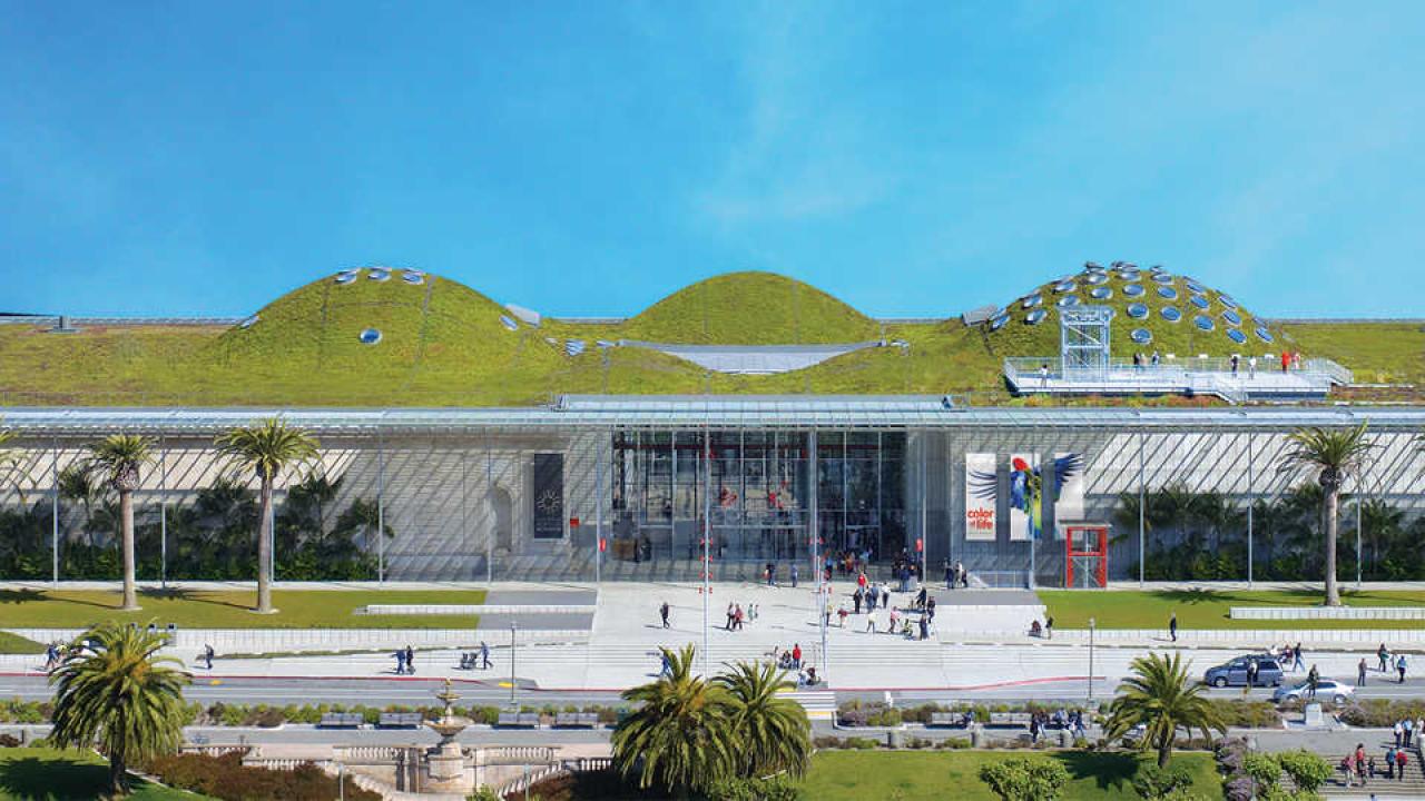 The California Academy of Sciences. California Academy of Sciences