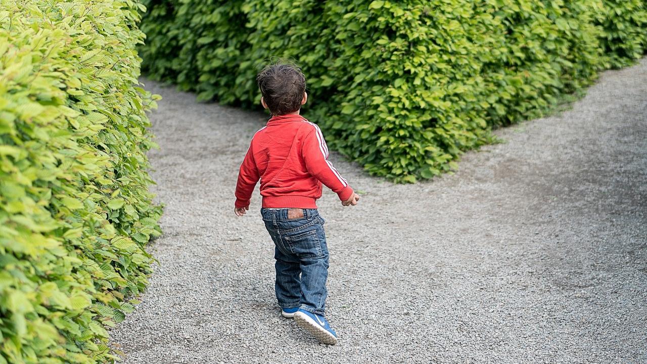 Young child at a Y in a garden path