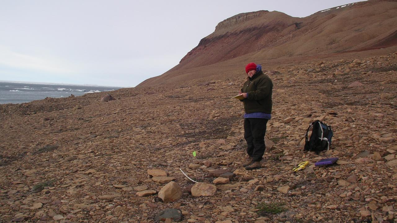 Professor Christyann Darwent at a desolate excavation site in Greenland
