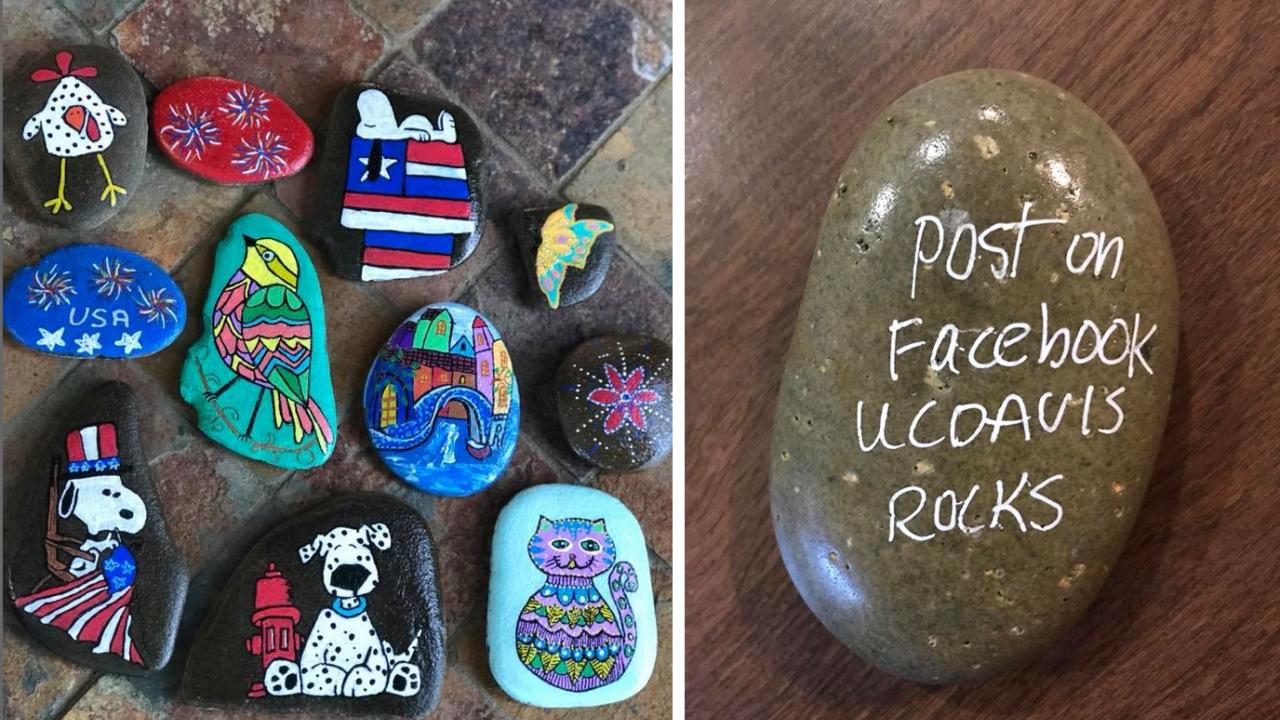 Side by side photos: one with 11 rocks painted with chicken, bird, Snoopy, Dalmation, cat, castle and other designs. Second image shows back of a rock with message: Post on Facebook UC Davis Rocks
