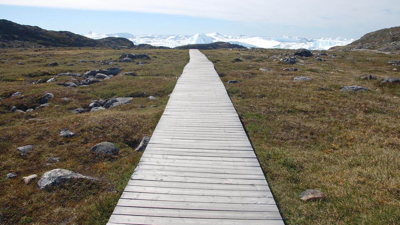 wooden walkway through low plant with snowy mountains in the distance