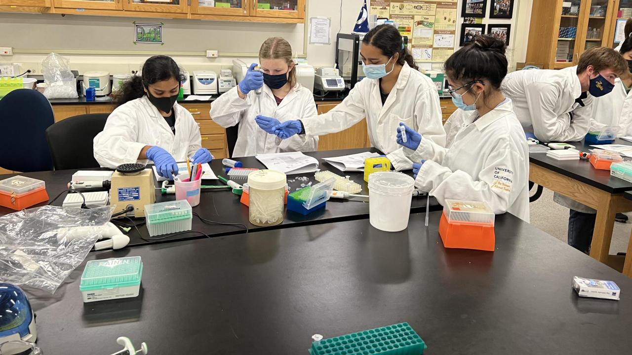 UC Davis undergraduate students experiment with proteins at a lab bench