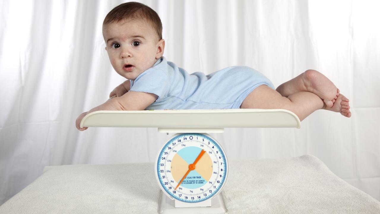 Baby lying on infant scales, head raised and looking at camera