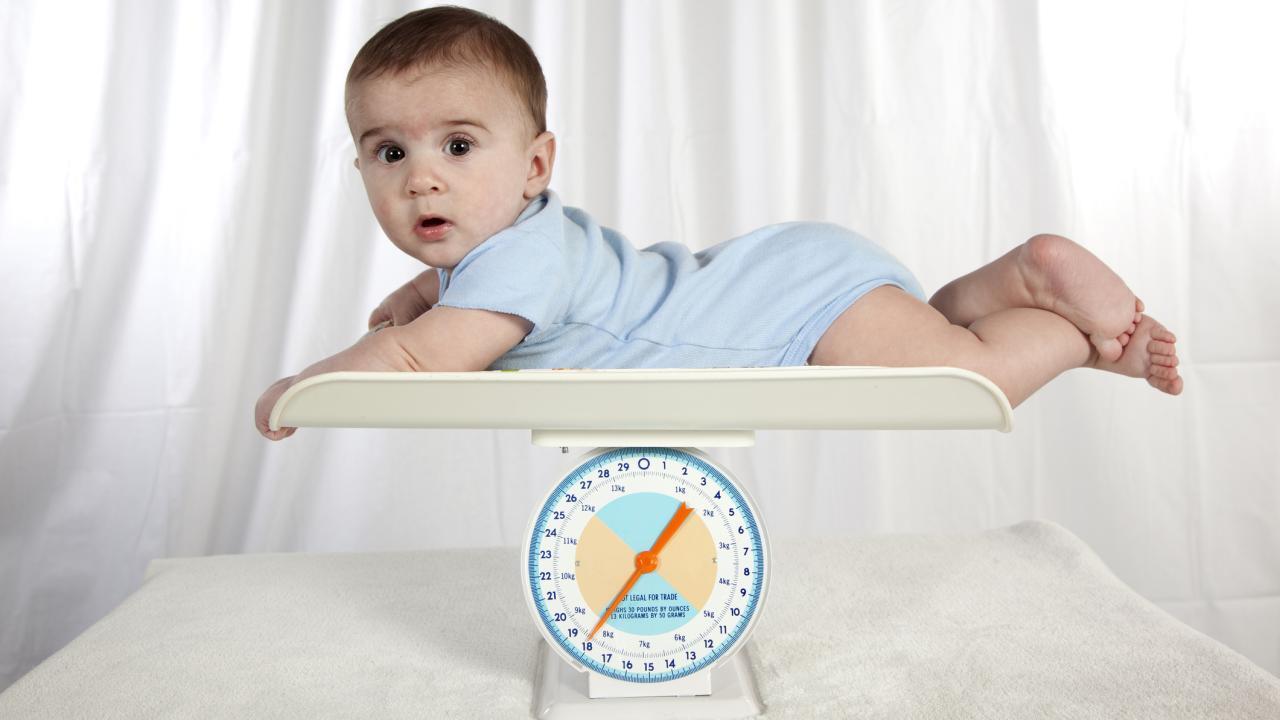 Baby lying on infant scales, head raised and looking at camera