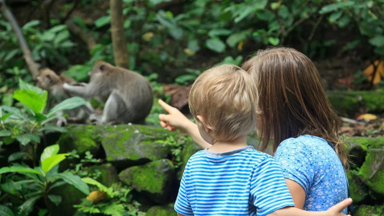 A woman holds a child while pointing at a pair of monkeys in the distance. 