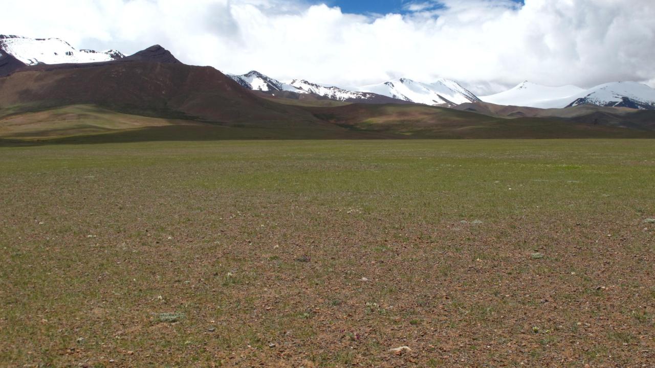Landscape of the Tibetan plateau, with sparse vegetation in foreground, snow peaks in background and blue sky showing through white fluffy clouds