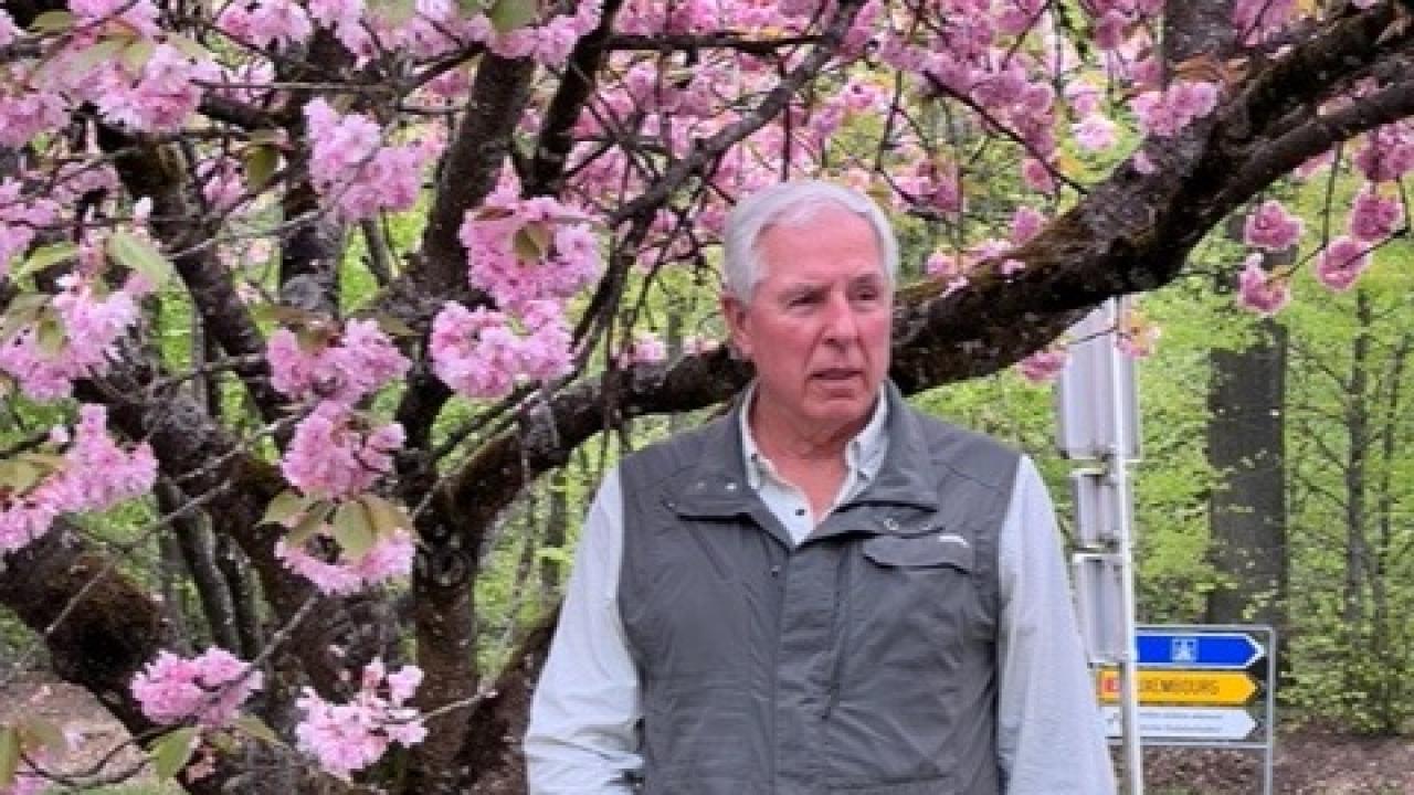 man wearing dark pants and gray vert standing outside in front of a tree with pink blossoms