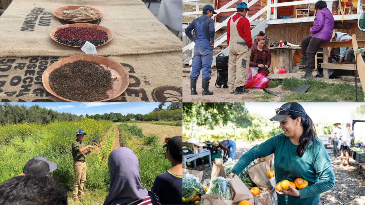 Some of the project teams that received Grants for Advancing Sustainable Development.