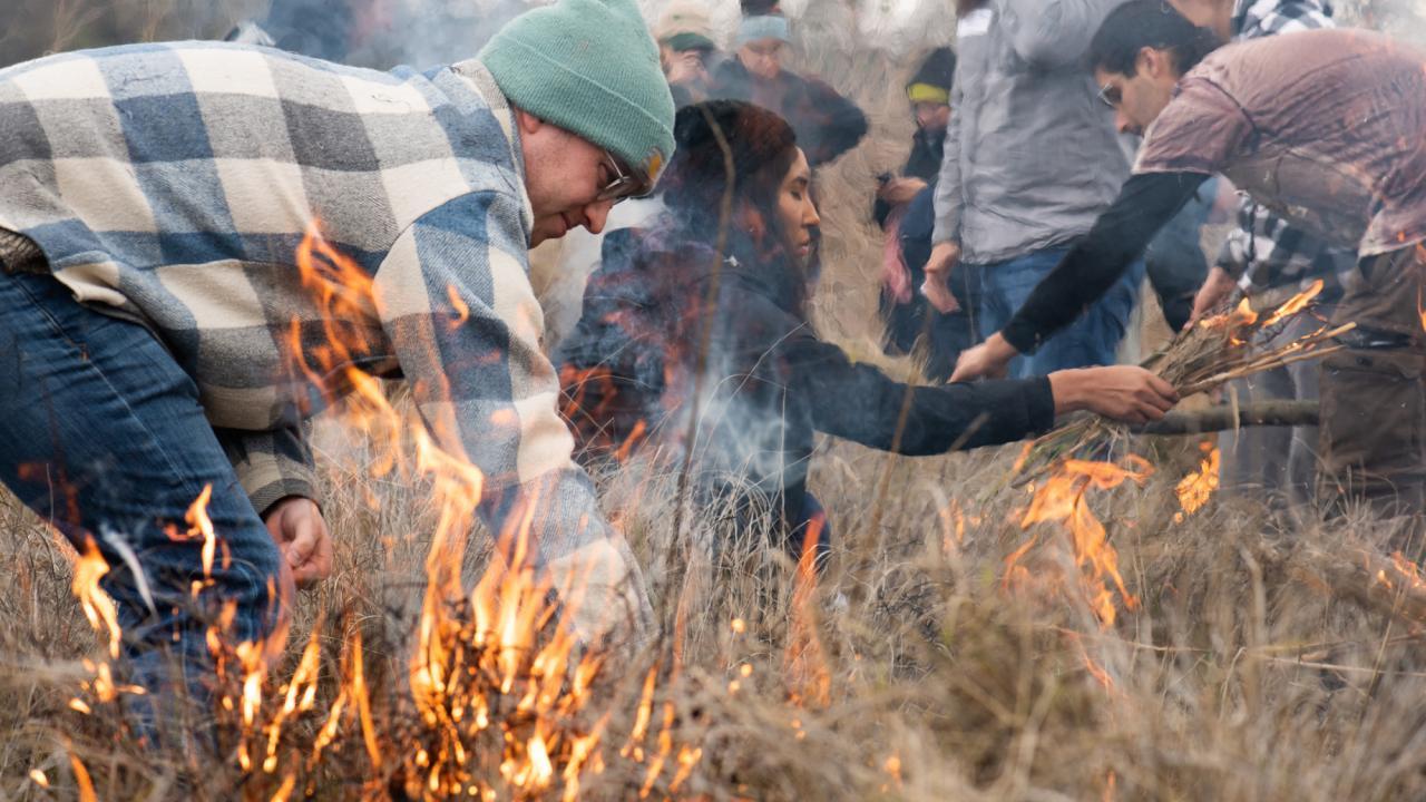 Buring grass in the foreground, then several people stacked front to back. From front man in plaid shirt and green stocking cap bent over working, woman with long dark hair holding buring sticks, behind her man with black hair reaching down. Several more people in the background. 