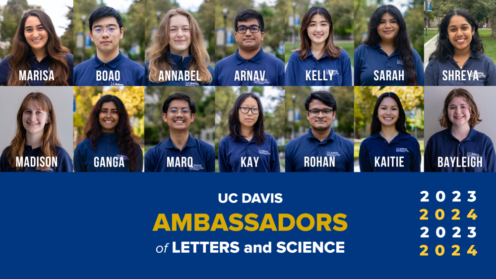 How Groups Make Up Their Minds UC Davis College of Letters and Science