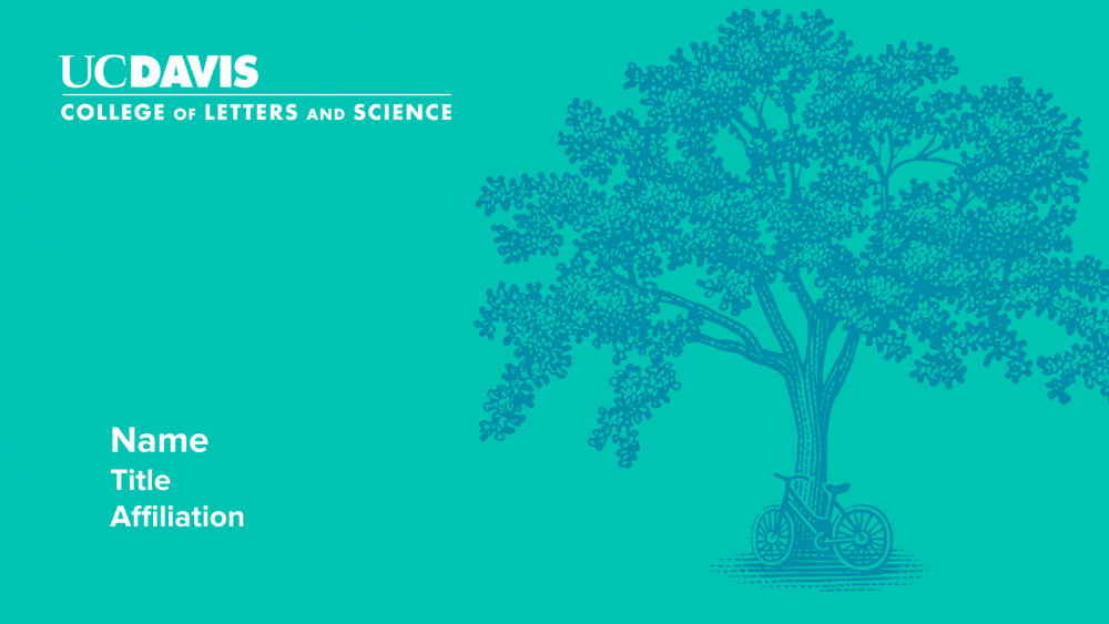 How Groups Make Up Their Minds UC Davis College of Letters and Science