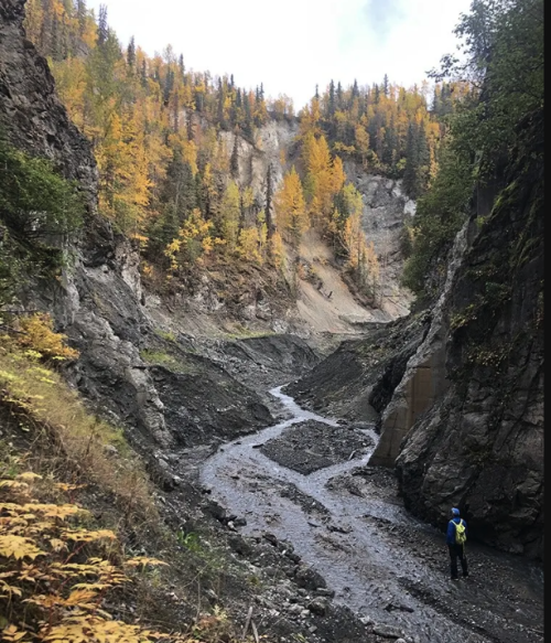 Looking up a rocky gully with yellow and green trees on the slops, several small stream of water flowing and a person in blue jacket and hat with yellow backback in lower right. 