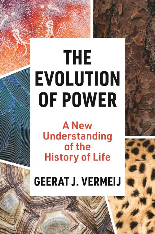 The front cover of the book, The Evolution of Power