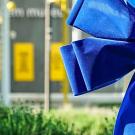 Blue ribbons at UC Davis in May indicate areas where philanthropic gifts have made a differnece