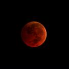 Blood moon courtesy NASA