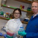 Photo of UC Davis senior Wenzhe Li in lab with biologist Richard McKenney