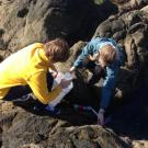 Lester Kwiatkowski and Yana Nebuchina taking samples from a rocky tide pool.