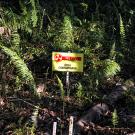 Photo of sign in jungle reading in Spanish: Danger, contaminated area