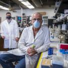 Professor Michael Toney in his chemistry lab