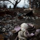 Darcy Padilla's photos of California wildfire devastation part of her photographic story on memory 