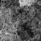 Palladium nanofoam