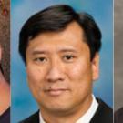 2018 AAAS fellows in the College of Letters and Science
