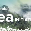 Global Tea Initiative starts at UC Davis