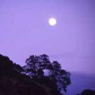 Photo of moon over oak-covered hillside
