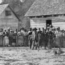 Historic photo of freed slaves standing in front of buildings