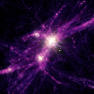 Stars and galaxies are shown in the bright white points of light, while the more diffuse dark matter and gas are shown in purples and reds.”