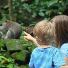 A woman holds a child while pointing at a pair of monkeys in the distance. 