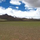Landscape of the Tibetan plateau, with sparse vegetation in foreground, snow peaks in background and blue sky showing through white fluffy clouds