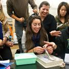 Students pick up and look at a squid in class.