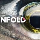 A close-up of a fish eye with a microphone icon and the word "Unfold" designed to look like folded paper.